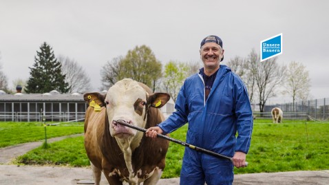 Bernhard Fleischmann mit Zuchtbulle