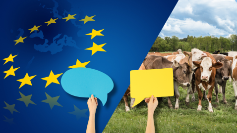 Bild EU-Flagge und Landwirtschaft