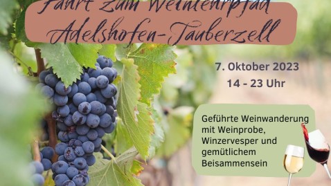 Busfahrt Weinwanderung