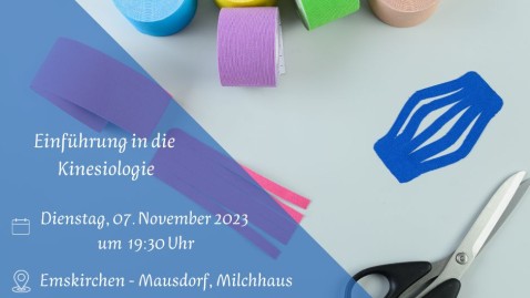 Vortrag Kinesiologie OV Mausdorf, KV NEA-BW