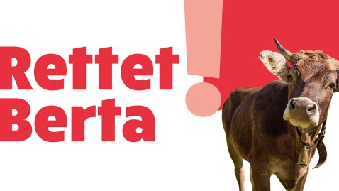 Rettet Berta Plakat mit freigestellter Kuh
