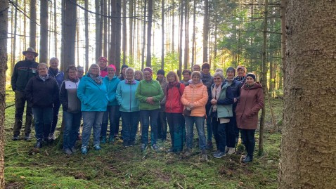 Waldbegehungen im Landkreis Eichstätt