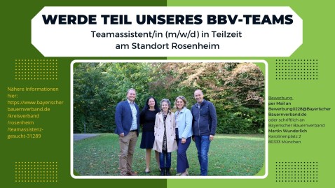 Teamassistenz