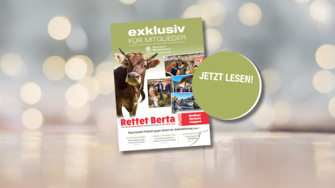 Aktuelle Ausgabe der Exklusiv Mitgliederzeitschrift vor festlichem Hintergrund