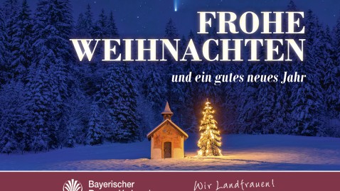 Frohe Weihnachten 2023