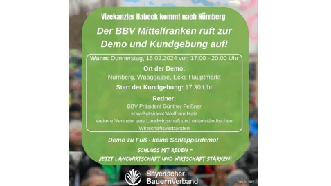 Demo Nürnberg 15.02.24