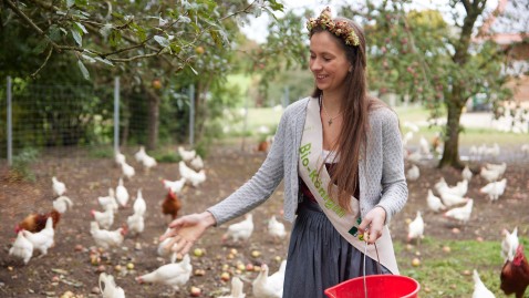 Bioköniging beim Hühnerfüttern