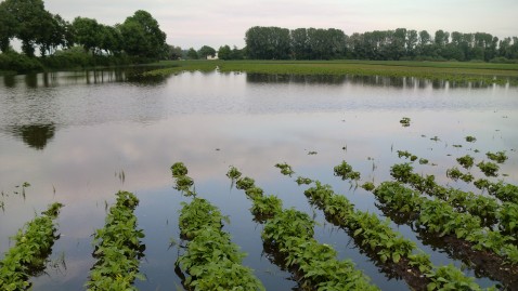 Unwetterschäden