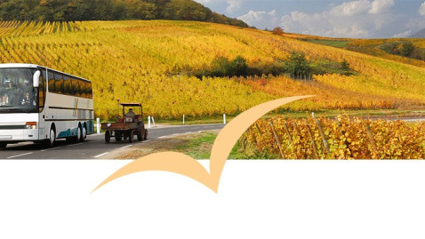 Landfrauen Lehrfahrt nach Landberg