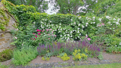 Rosengarten Bender