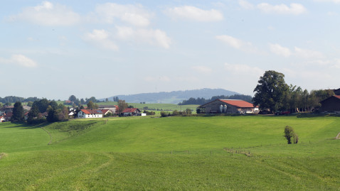 Landschaft