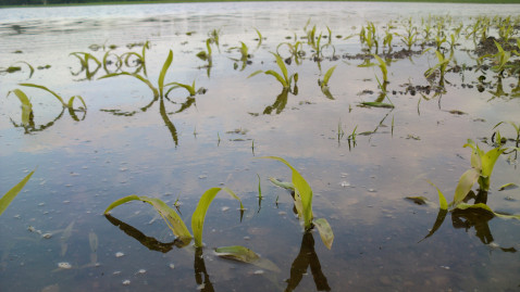 Hochwasser Hilfsprogramm