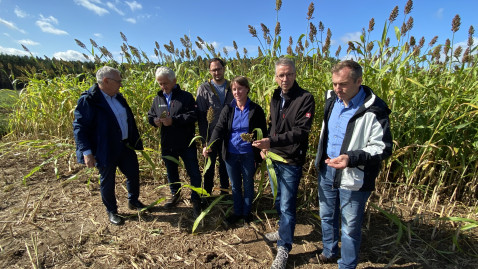 Erntebilanz für die Region - Gespräch Bräuersdorf