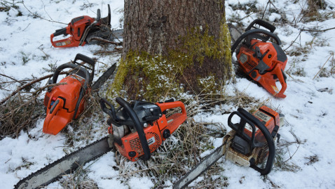 2025-01-11 Motorsägenkurs Sägen