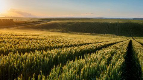 Vorstellung der Kartierung der Gewässerrandstreifen 