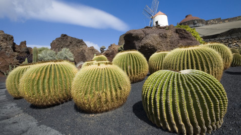 Lanzarote