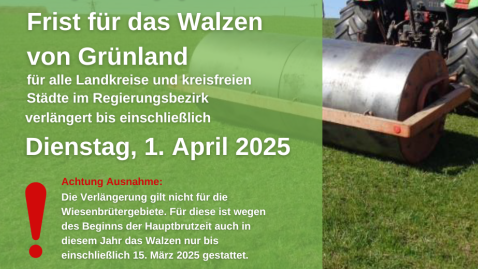 Walzverbot