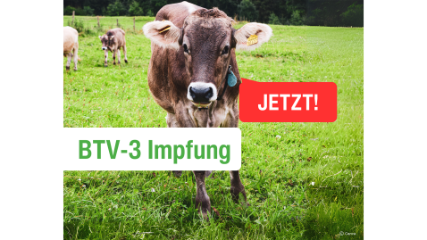 Impfaufruf