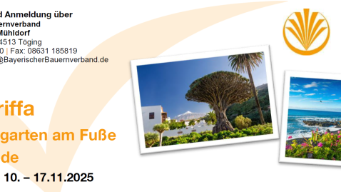 Flugreise nach Teneriffa - Tropengarten am Fuße des Teide