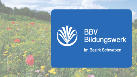 Header Bildungswerk Schwaben