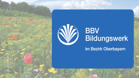 Logo Bildungswerk Oberbayern auf blauem Hintergrund mit Blumenwiese