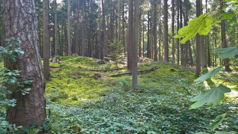 Ainauer Hügelgräber