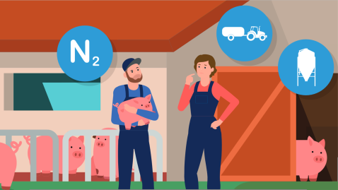 Klima-Schnellcheck SüdSchwein4Klima 