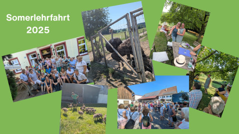 Sommerlehrfahrt 2025 