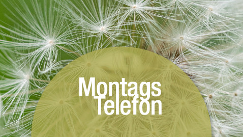 MontagsTelefon
