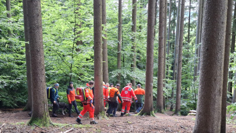 Rettungsübung im Wald
