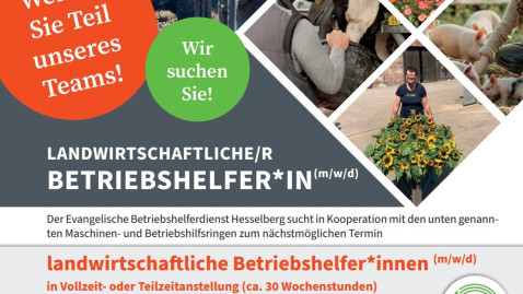 Betriebshelfer gesucht
