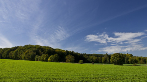 Mitgliederversammlung 2025 