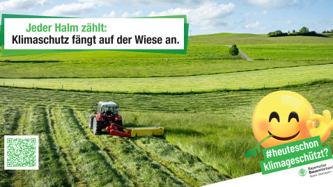 #heuteschonklimageschützt Motiv Grünland