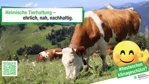 #heuteschonklimageschützt Motiv