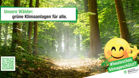 #heuteschonklimageschützt Motiv Wald