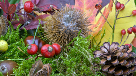 Herbst