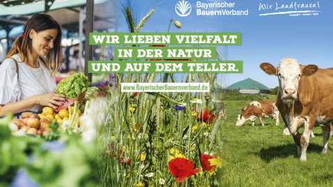 Mainfranken Messe 2025 Banner
