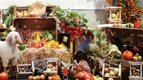 Erntedankfest 28.09.2025