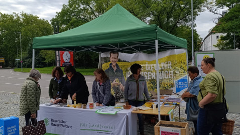 Klimaaktion Eichstätt