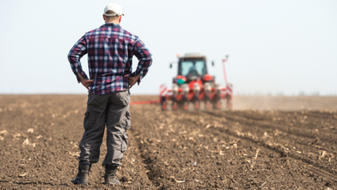 AMK-Landwirtschaftliche Erwartungen