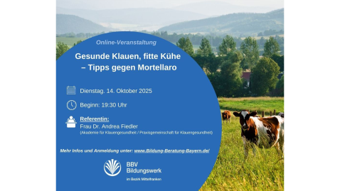 Kurs Klauenpflege gegen Mortellaro BBV Bildungswerk Mittelfranken 14.10.2025