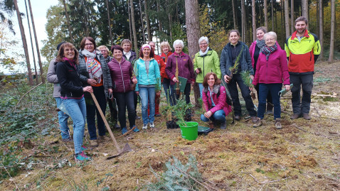 Waldbegehung Kirchweihmontag