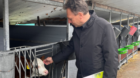 Erzbischof Gössl streichelt ein junges Kalb