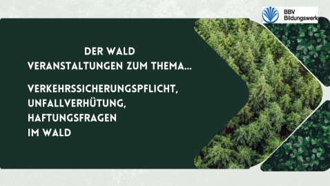 Unfallverhütung im Wald