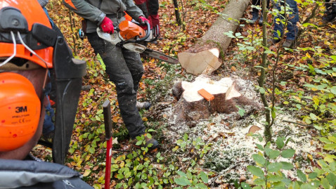 Schulung „Sicherer Einsatz der Forstseilwinde“