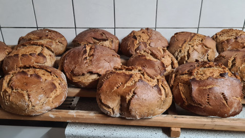 2025 Brotbackkurse WM-SOG