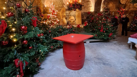 Lehr- und Informationsfahrt nach Salzburg