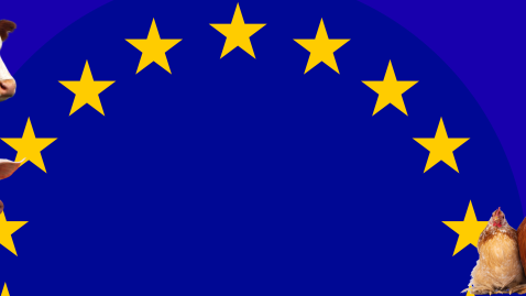 Tierhaltung EU Tierschutz