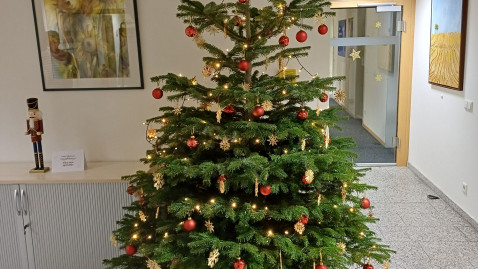 Christbaum IN