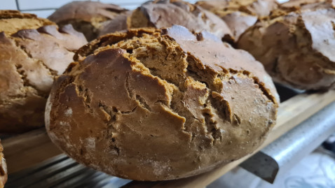 2026 04 Brotbackkurs